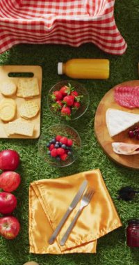 Vertical video of fresh food, basket and gingham tablecloth with copy space on grass. Picnic day, leisure time, alfresco eating and lifestyle concept.