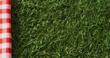 Video of gingham tablecloth with copy space on grass. Picnic day, leisure time, alfresco eating and lifestyle concept.