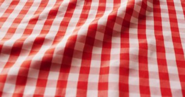 Close up of red and white checkered blanket with copy space. Picnic day, food and nature concept.