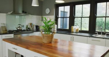 Empty house interior with kitchen window and plant on table, slow motion. Interior design, house and furniture concept.
