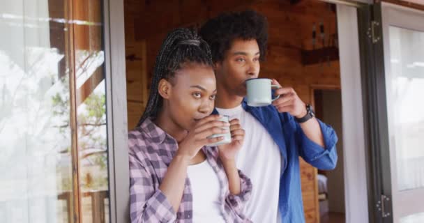 Happy African American Couple Looking Window Drinking Coffee Log Cabin — Αρχείο Βίντεο