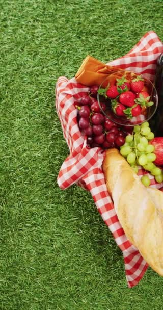 Vertical Video Bread Fruit Wine Basket Gingham Tablecloth Copy Space — Vídeo de Stock