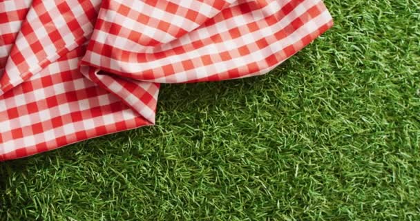 Close Red White Checkered Blanket Grass Copy Space Picnic Day — Stock Video