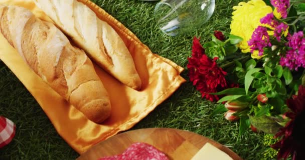 Video Fresh Bread Grapes Wine Blanket Gingham Tablecloth Copy Space — Stock videók