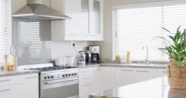 General view of kitchen with kitchen equipment and plant on countertop, slow motion. Interior, design, style and domestic life concept.