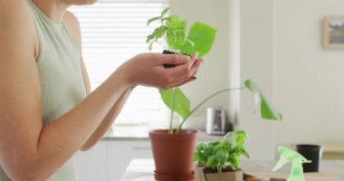 Happy caucasian woman holding and smelling clump of ground with plant of basil. Spending quality time at home concept.