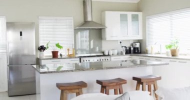 House interior of kitchen with plants and table in middle. House interior and furniture concept.