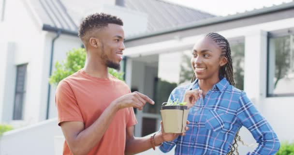 Happy African American Couple Plant Sprout Backyard Lifestyle Relationship Spending — Stockvideo