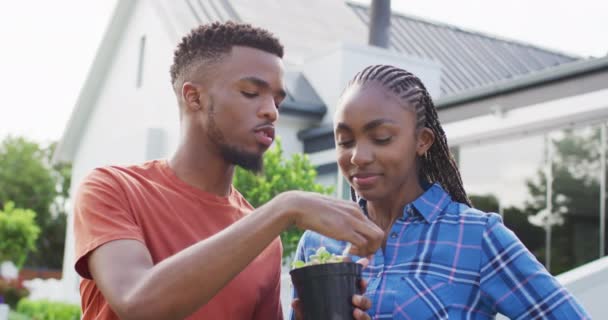 Gelukkig Afrikaans Amerikaans Koppel Met Plant Spruit Achtertuin Lifestyle Relatie — Stockvideo