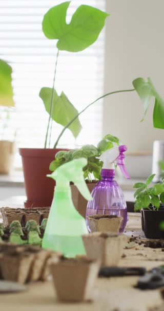 Vertikal Video Närbild Växter Och Sprinklers Med Vatten Köket Trädgård — Stockvideo