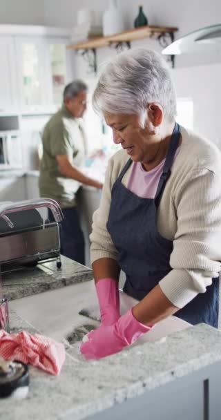 Vertical Video Happy Senior Biracial Couple Washing Dishes Spending Quality — Stok video