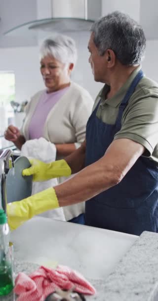 Vertical Video Happy Senior Biracial Couple Washing Dishes Spending Quality — Stock Video