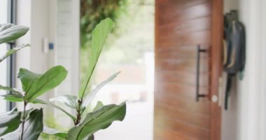 Empty house interior with green plants and open door to garden. House interior and furniture concept.