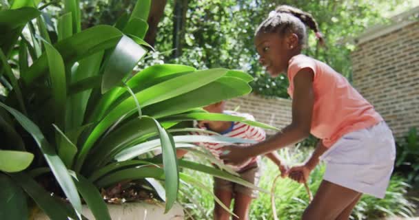 Nadšený Africký Americký Bratr Sestra Velikonoční Hon Vajíčka Zahradě Plácání — Stock video