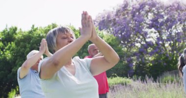 Relaxed diverse group of seniors practicing yoga meditation in garden, slow motion. Healthy, active senior lifestyle.