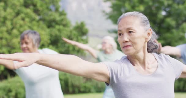 Smiling Senior Asian Woman Practicing Yoga Diverse Senior Group Garden — Stockvideo