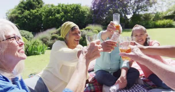 Happy Diverse Senior Male Female Friends Making Toast Picnic Sunny — Stockvideo