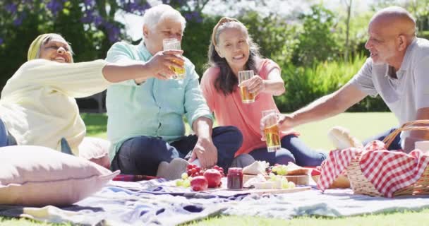 Glückliche Senioren Stoßen Bei Einem Picknick Sonnigen Garten Zeitlupe Freundschaft — Stockvideo