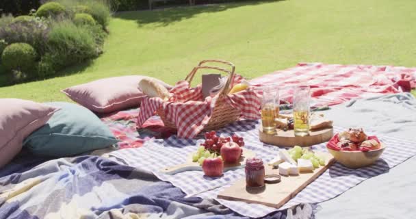 Picnic Hamper Food Drinks Laid Out Blankets Sunny Garden Slow — Vídeo de Stock