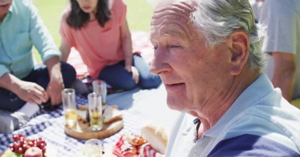 Happy Senior Caucasian Man Laughing Picnic Diverse Friends Sunny Garden — Stockvideo