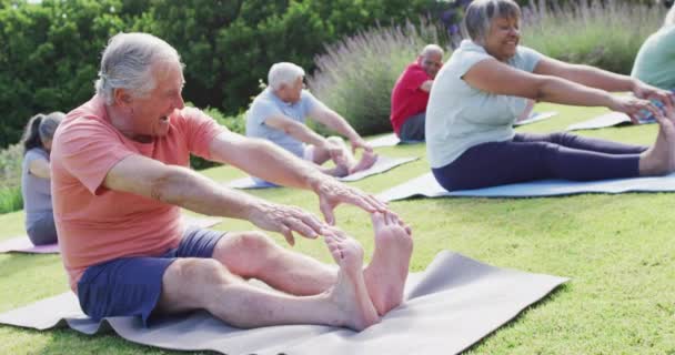 Diverse Group Happy Male Female Seniors Exercising Garden Touching Toes — Wideo stockowe