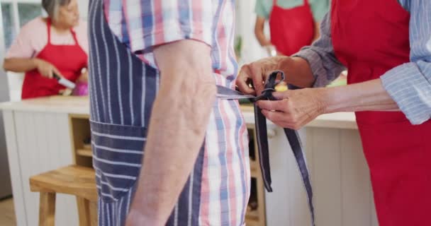 Happy Caucasian Senior Couple Putting Aprons Kitchen Diverse Friends Slow — Stockvideo