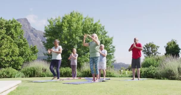 Diverse Group Male Female Seniors Practicing Yoga Together Sunny Garden — Stockvideo