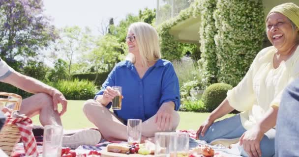 日当たりの良い庭でピクニックで多様な友人と話す幸せな出産の先輩女性 スローモーション リラクゼーション 活発なシニアライフスタイル — ストック動画