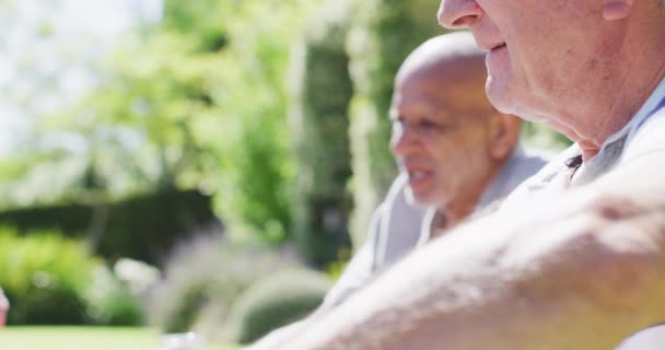 Glückliche Senioren Stoßen Bei Einem Picknick Sonnigen Garten Zeitlupe Freundschaft — Stockvideo