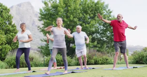 Diverse Group Male Female Seniors Practicing Yoga Together Sunny Garden — Video