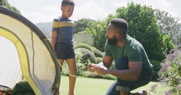 Šťastný Africký Americký Otec Syn Postavili Stan Zpomaleném Filmu Trávení — Stock video