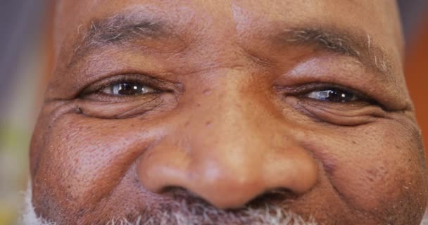 Porträtt Lycklig Afrikansk Amerikan Man Ler Och Tittar Kameran — Stockvideo