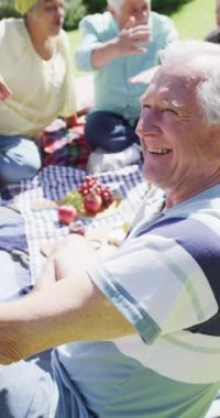 Vertical video of happy senior caucasian man laughing at picnic with friends, in slow motion. Friendship, relaxation and senior lifestyle.