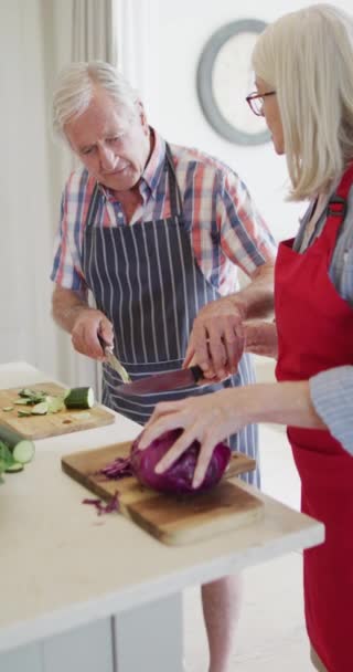 Vertical Video Senior Caucasian Couple Preparing Food Kitchen Slow Motion — ストック動画