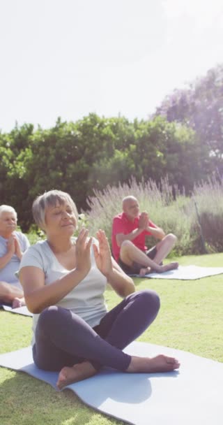 Vídeo Vertical Feliz Mujer Birracial Senior Haciendo Meditación Con Amigos — Vídeos de Stock