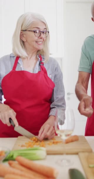 Vertical Video Diverse Senior Male Female Friends Preparing Food Kitchen — Stock Video