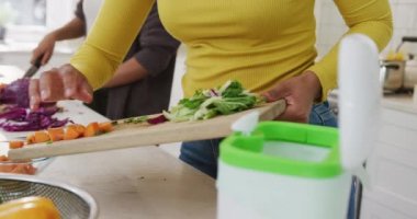 Melez kız kardeşlerin orta kesimi mutfakta ağır çekimde atık temizliyor. Kaliteli zaman, yaşam tarzı, aile hayatı, aile ve kardeş kavramı.