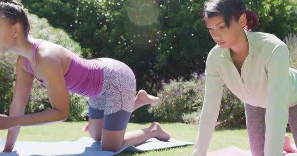 Glückliche Schwestern Machen Yoga Und Stretching Garten Zeitlupe Qualitätszeit Lebensstil — Stockvideo