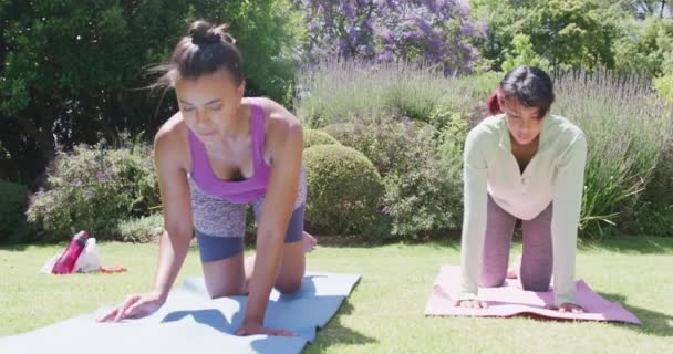 Gelukkige Biracial Zussen Doen Yoga Stretching Tuin Slow Motion Kwaliteitstijd — Stockvideo