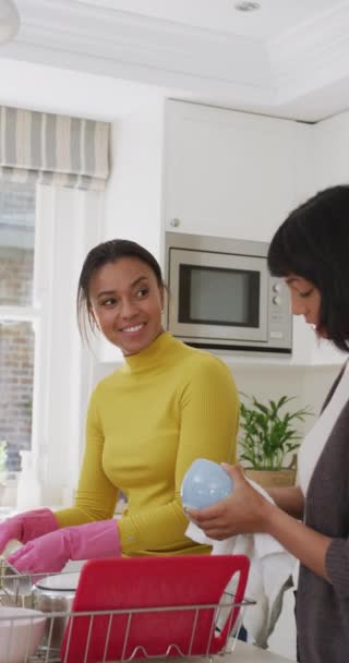 在厨房里的垂直录像中 比利卡姐妹们慢动作地洗碗 花费高质量的时间 生活方式 家庭生活 家庭和兄弟姐妹概念 — 图库视频影像
