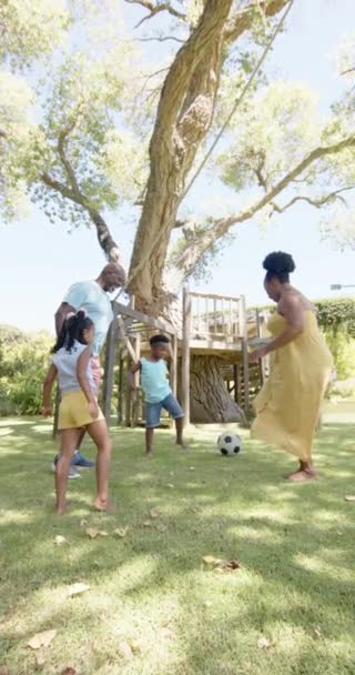 Vertikal Video Med Glada Afrikanska Amerikanska Morföräldrar Och Barnbarn Som — Stockvideo