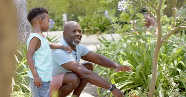 Glad Afrikansk Amerikansk Farfar Med Barnbarn Som Arbetar Trädgården Slow — Stockvideo