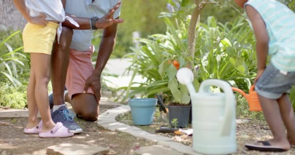 Felizes Irmãos Afro Americanos Com Avô Trabalhar Jardim Câmara Lenta — Vídeo de Stock