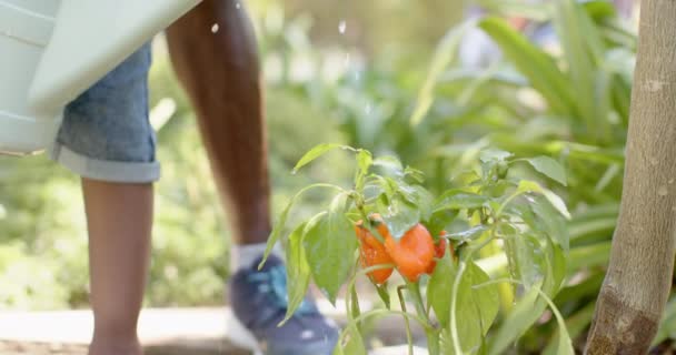Afrikansk Amerikansk Farfar Med Sonson Som Arbetar Trädgården Slow Motion — Stockvideo