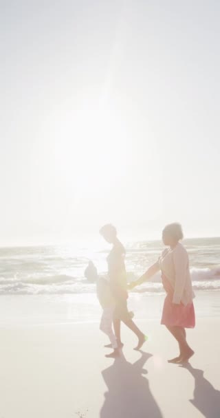 Вертикальне Відео Бабусі Америки Матері Дочки Ходять Пляжі Повільному Русі — стокове відео