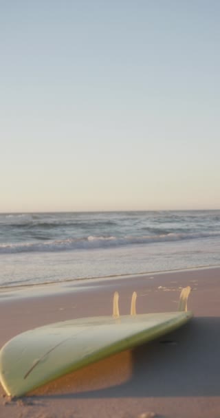 Κατακόρυφο Βίντεο Ιστιοσανίδας Στην Παραλία Αργή Κίνηση Χώρο Αντιγραφής Καλοκαίρι — Αρχείο Βίντεο