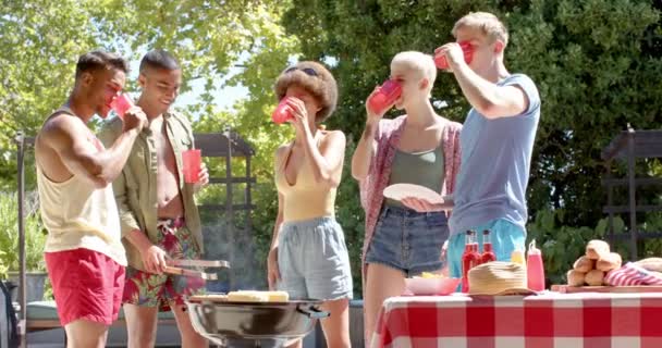 Feliz Grupo Diversificado Amigos Bebendo Bebidas Tendo Churrasco Jardim Verão — Vídeo de Stock