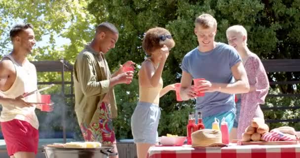 Mutlu Çeşitli Arkadaş Grupları Yazın Içki Içip Bahçede Barbekü Yapıyorlar — Stok video