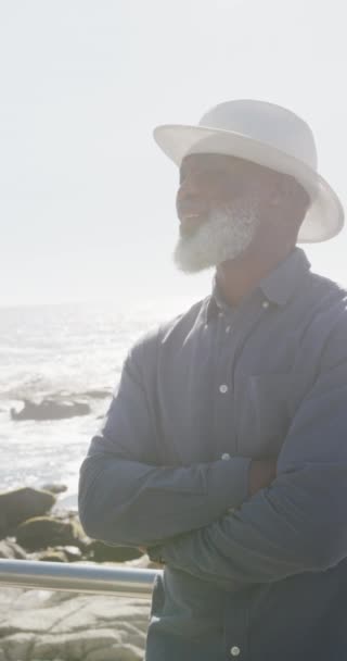 Lodret Video Portræt Højtstående Afrikansk Amerikansk Mand Promenade Ved Havet – Stock-video