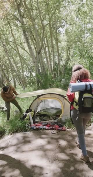 在森林里的白桦树夫妇投宿帐篷的垂直视频 慢动作 花费高质量的时间 生活方式 远足和露营的概念 — 图库视频影像